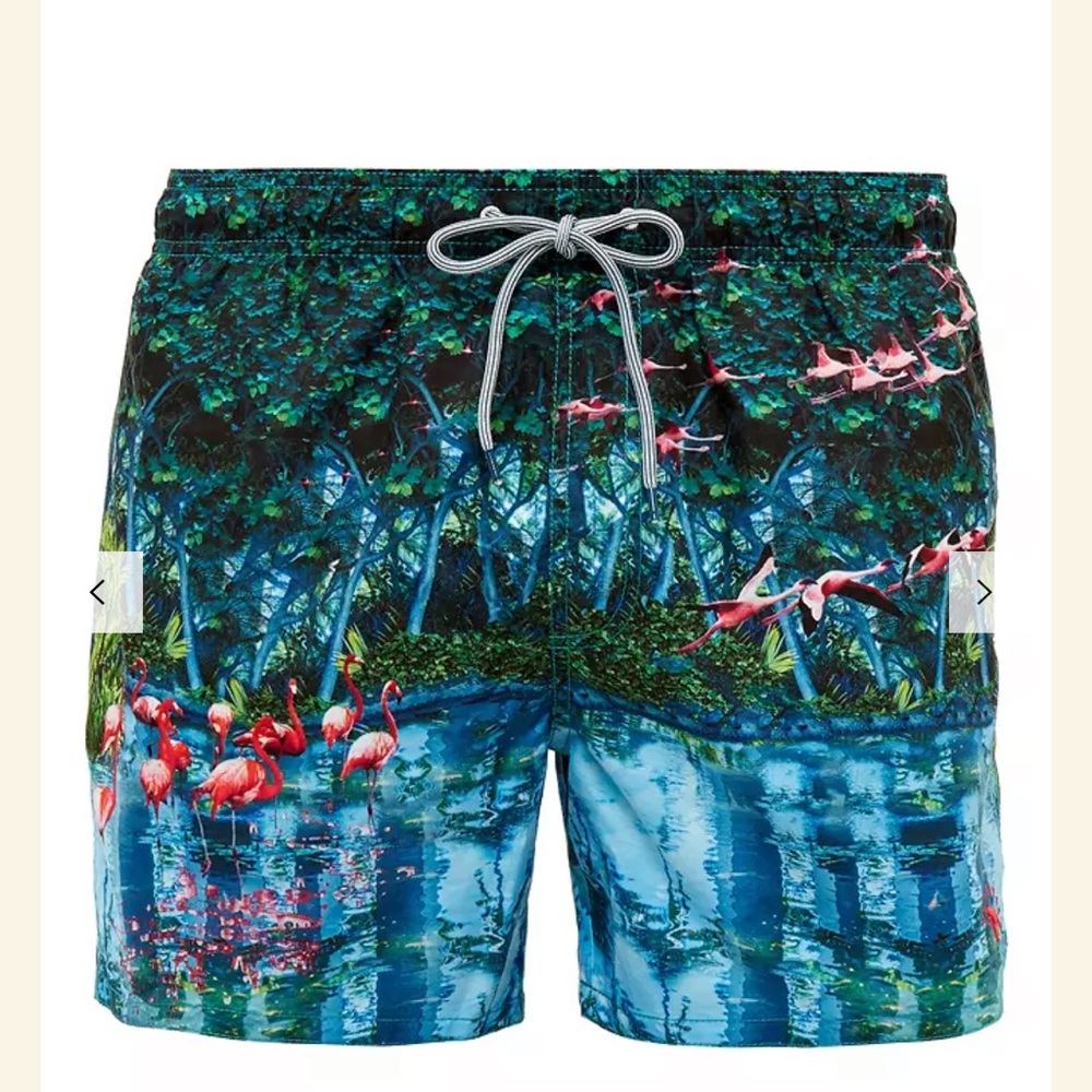 Ted Baker London Flamingo Print Board shorts Size 2